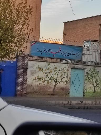 عکس دبستان فریدوند