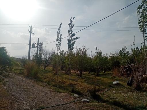 عکس دهنو میج صفلی