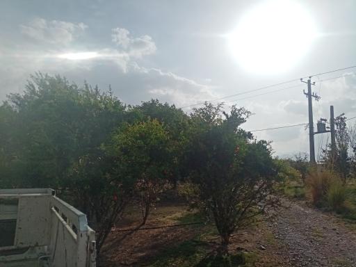 عکس دهنو میج صفلی