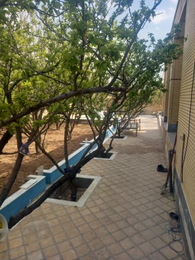 سفره خانه و گلابگیری سنتی میراث