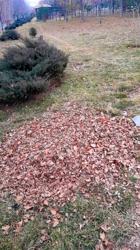 عکس پارک ولایت مهر