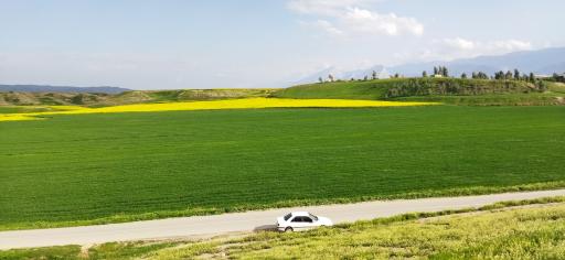 عکس دره‌شهر