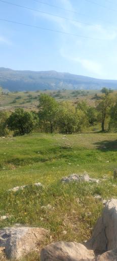 عکس دره‌شهر