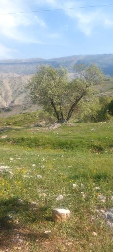 عکس دره‌شهر