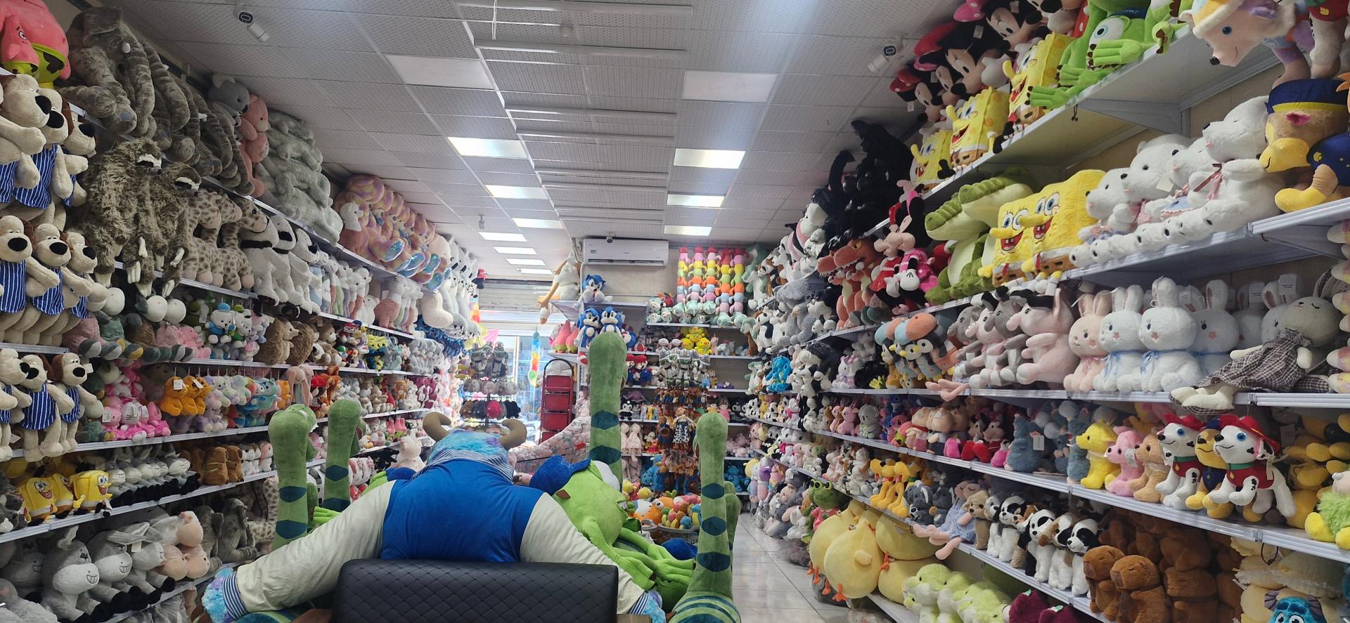 عکس هوم تویز