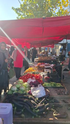 عکس جمعه بازار (محمودآباد)