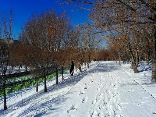 عکس پارک مهر ولایت