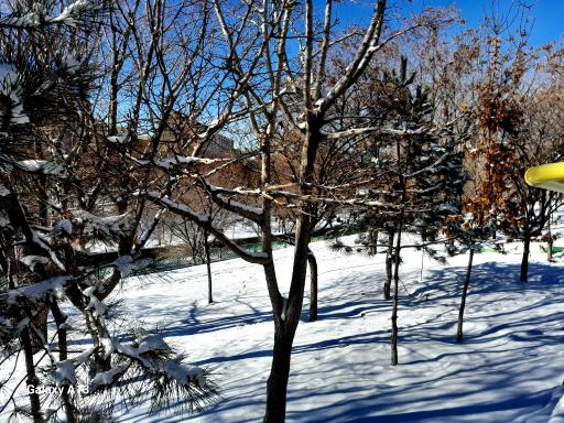 عکس پارک مهر ولایت