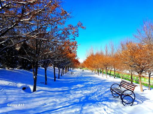 عکس پارک مهر ولایت