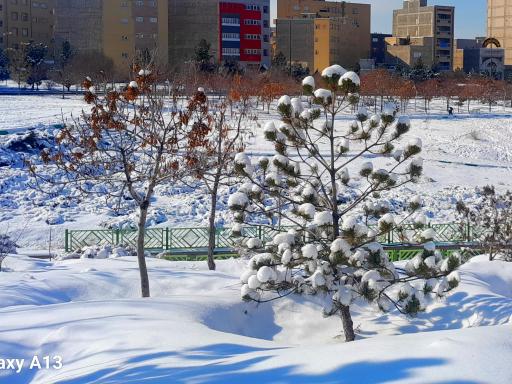 عکس پارک مهر ولایت