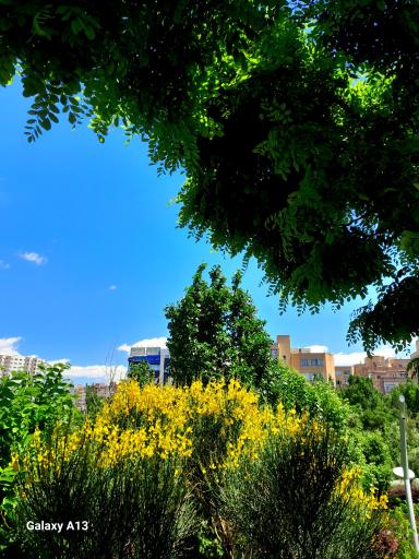 عکس پارک مهر ولایت