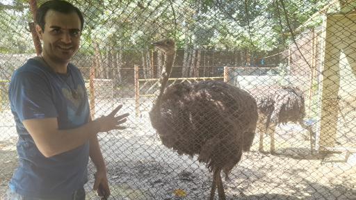 عکس بوستان فدک