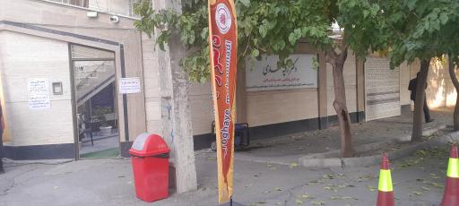 عکس دکتر رقیه محمدی