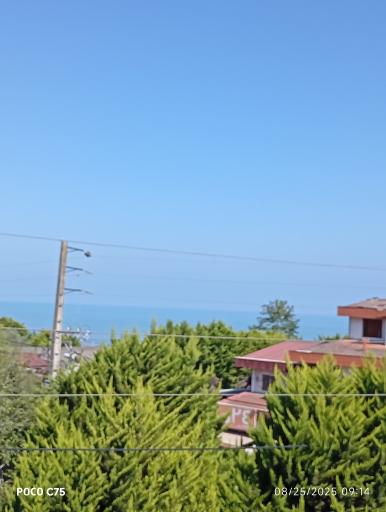 عکس مجتمع ساحلی آرتمیس