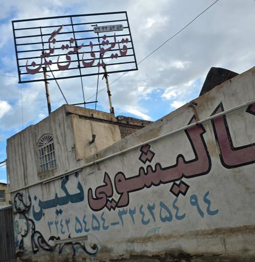 عکس قالیشویی نگین