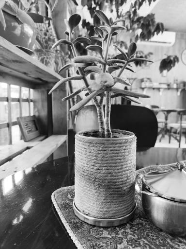 عکس کافه امید