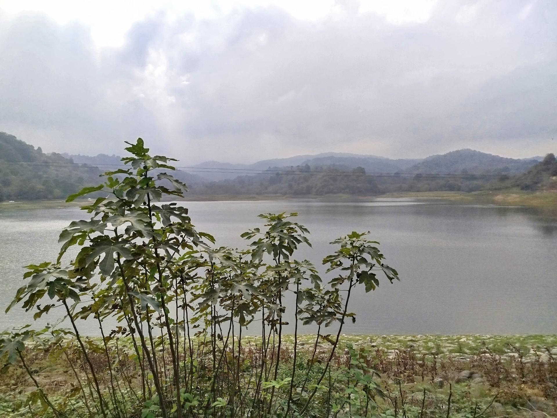 عکس سد شیاده 