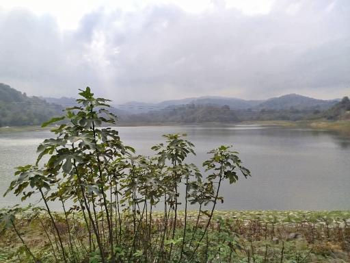 عکس سد شیاده 