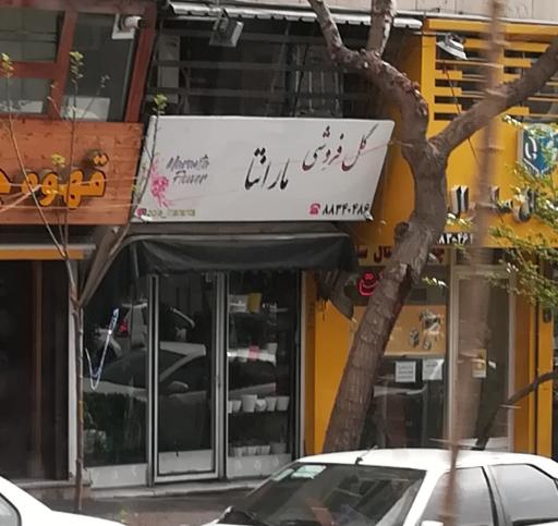 عکس گل فروشی مارانتا