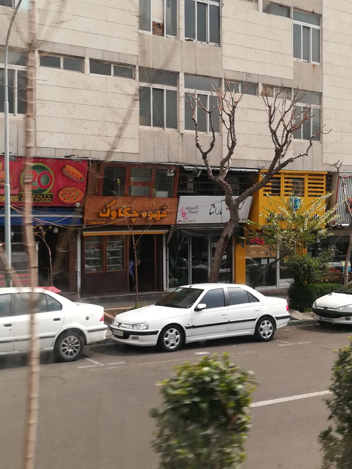 عکس گل فروشی مارانتا