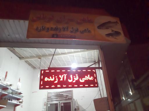 عکس ماهی سرای قربانی