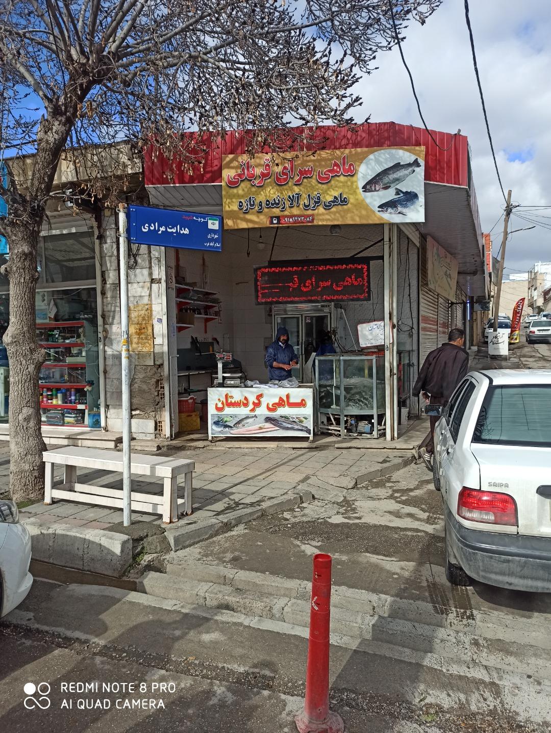 عکس ماهی‌سرای قربانی