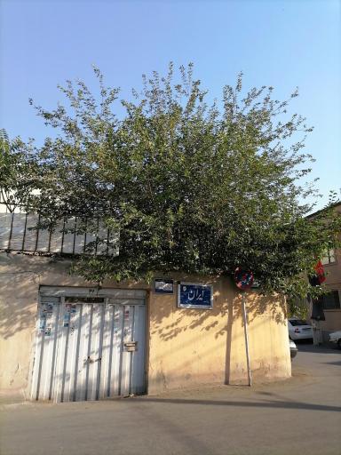 عکس دفتر روزنامه ایران (همدان نامه)