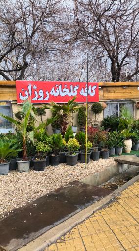 عکس کافه گل روژان 