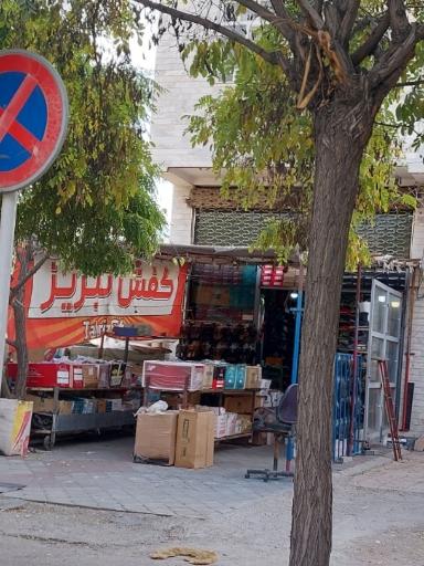 عکس کفش تبریز