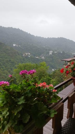 عکس کافه کلبه