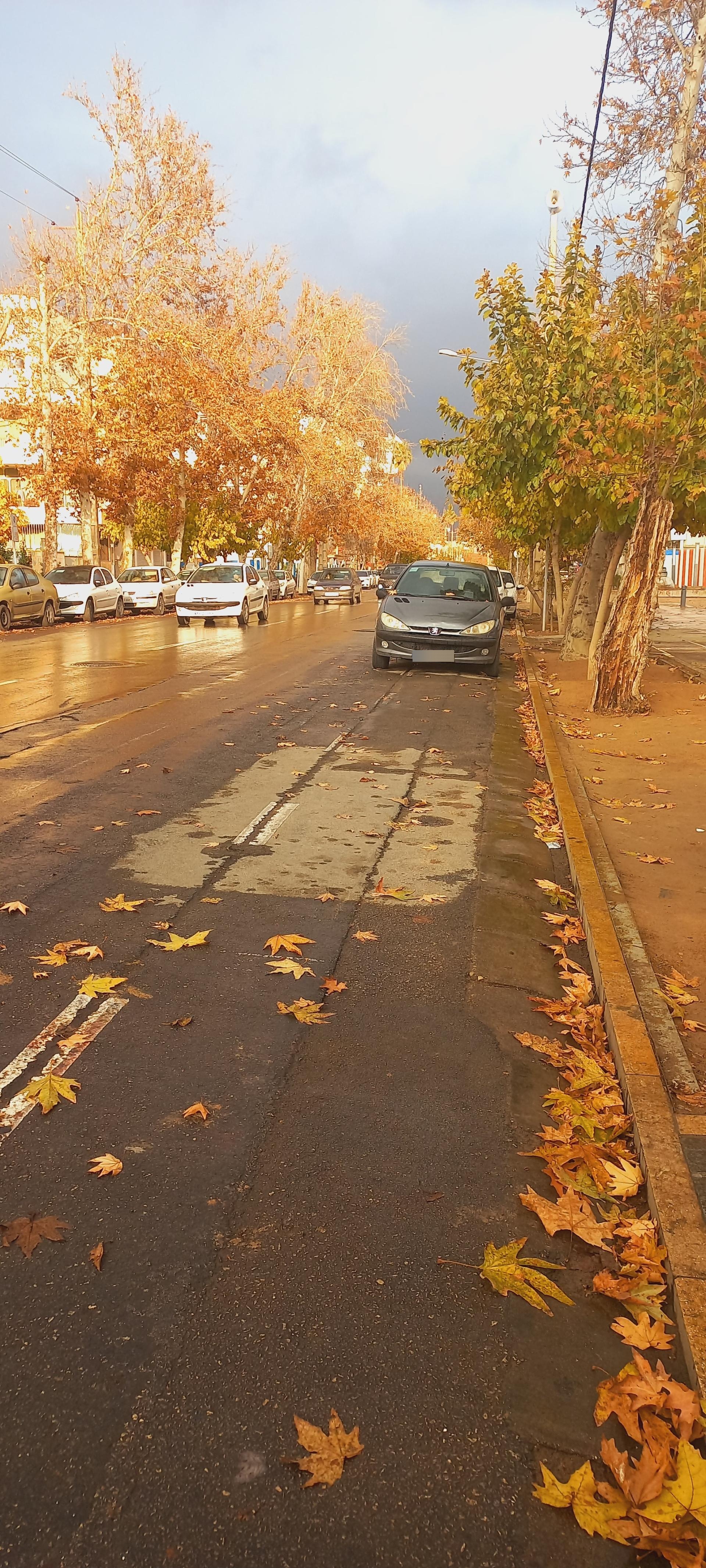 عکس چهارراه عفیف آباد 