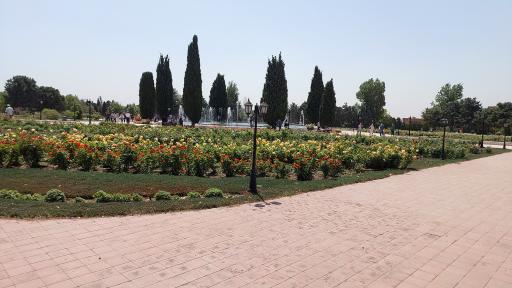 عکس میدان لوتوس