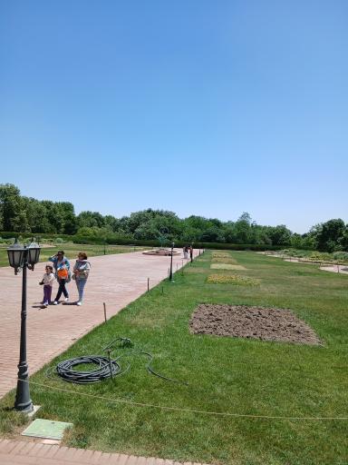 عکس میدان لوتوس