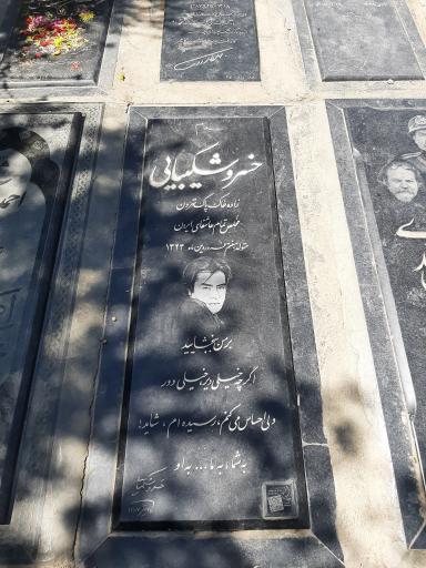 عکس مزار خسرو شکیبایی