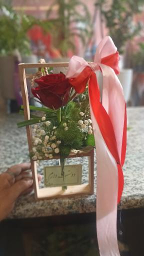 عکس گل ارکیده
