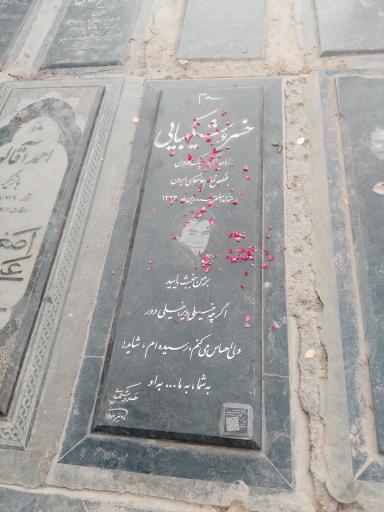 عکس مزار خسرو شکیبایی