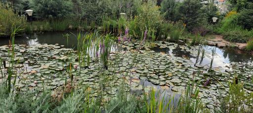 عکس پارک لارسی