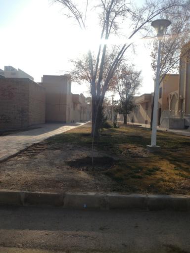 عکس فضای سبز نگارستان