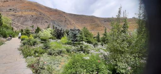 عکس پارک لارسی