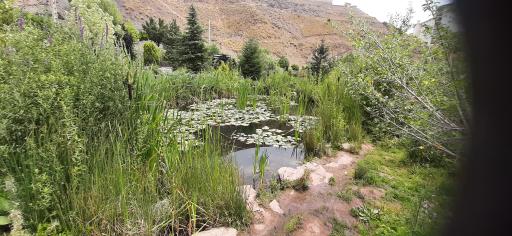 عکس پارک لارسی