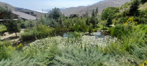 عکس پارک لارسی