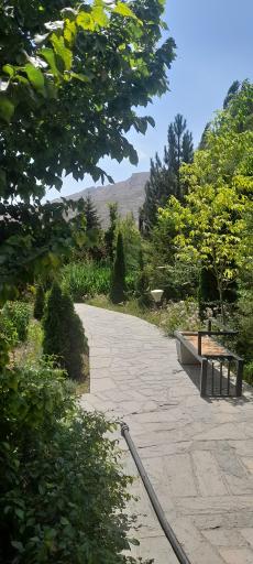 عکس پارک لارسی