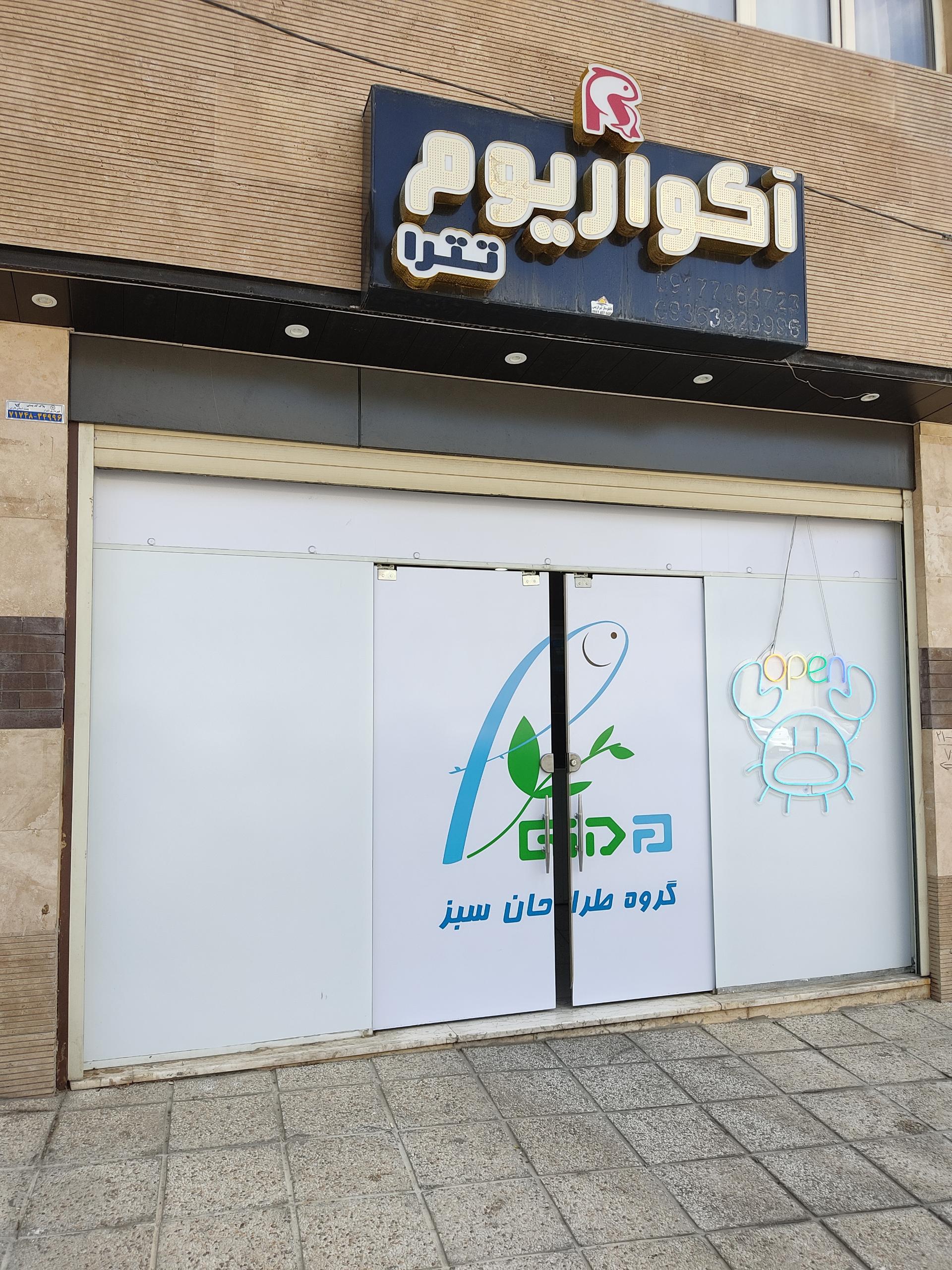 عکس آکواریوم تترا