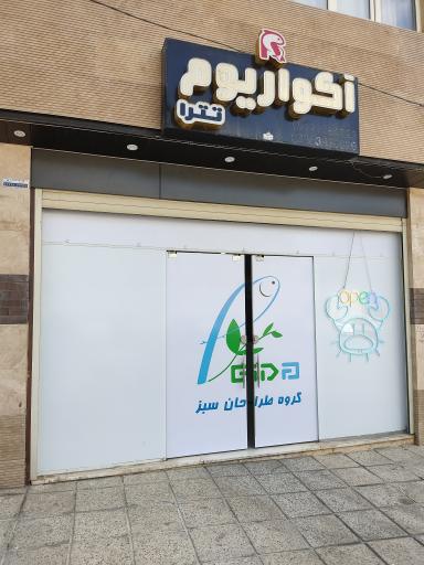 عکس آکواریوم تترا