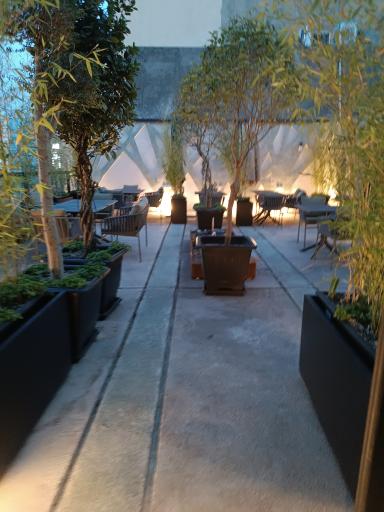 عکس کافه رستوران سوسو