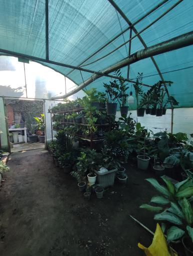 عکس گلخانه خاتون