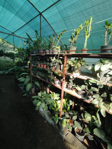 عکس گلخانه خاتون