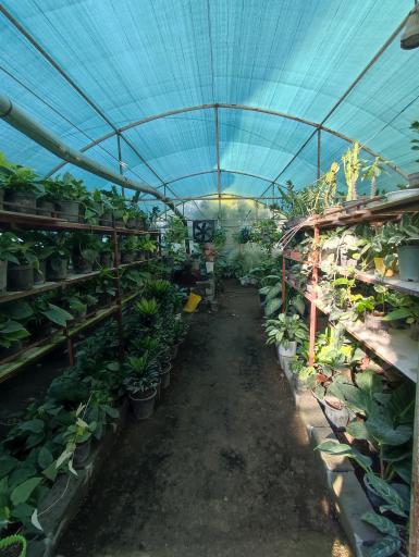 عکس گلخانه خاتون