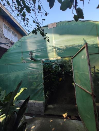 عکس گلخانه خاتون