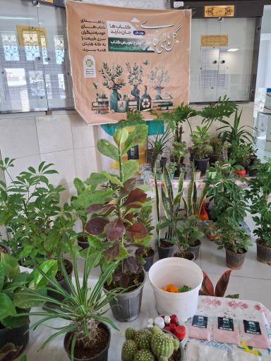 عکس فرهنگسرای جوان